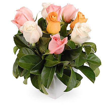 Box Arrangement of Mixed Pastel Roses & Viburnum: Gift Delivery in Australia