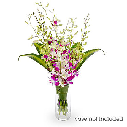 Orchids & Cordyline Flower Arrangement: Send Gifts To Australia