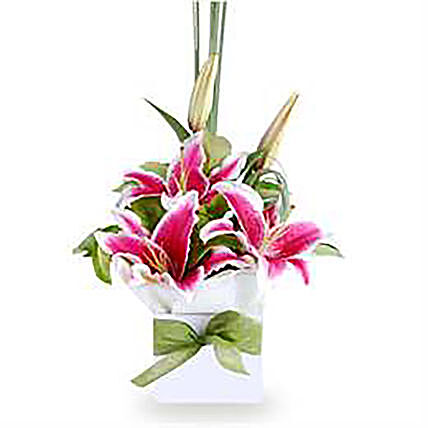 Pink Oriental Lilies Box Arrangement: Gift Delivery in Australia