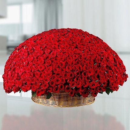 Basket Of 800 Red Roses: 