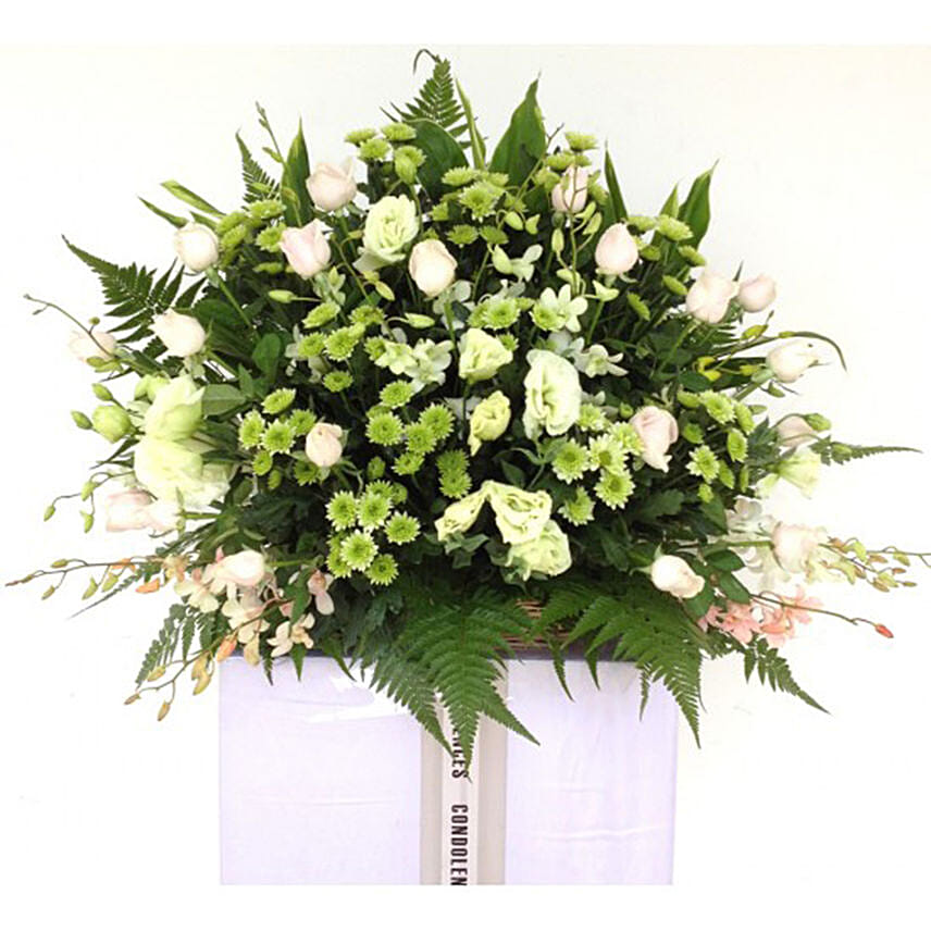 Gracefulness Forever: Orchid Flowers