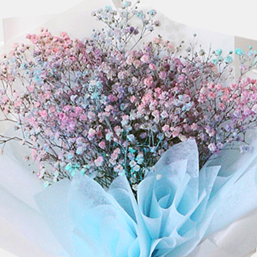 Colourful Gypsophila Bunch: Baby's Breath