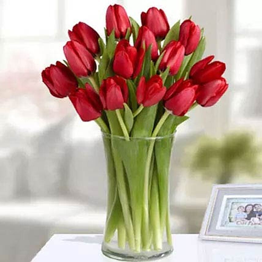 20 Red Tulip Arrangement: Gift Shop