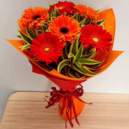 Blush Gerberas Bouquet: Orange Flowers