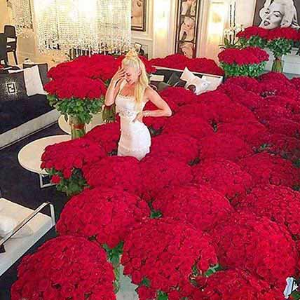 Extravagance Of Red Roses: Premium Gifts