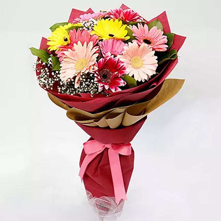 10 Gerbera Flowers Bouquet: Gerbera Flowers