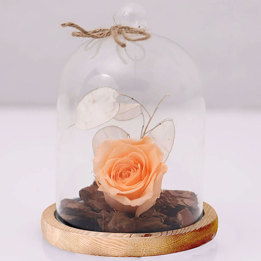 Peach Forever Rose In Glass Dome: Gift Delivery Singapore