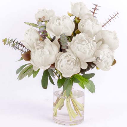 Perfect White Peonies: Peonies Flowers