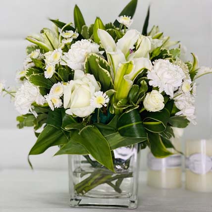 White Beauty: Carnation Flowers