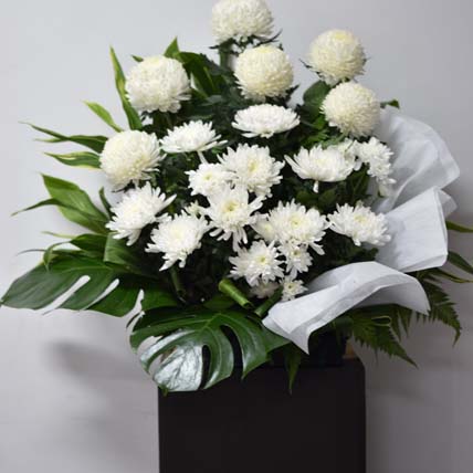 White Ball Mums Flower Stand: 