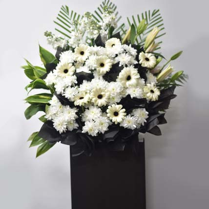 Daisy Condolence Stand: Gift Delivery Singapore