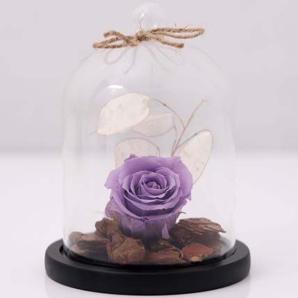 Purple Forever Rose In Glass Dome: Dried Flowers Singapore