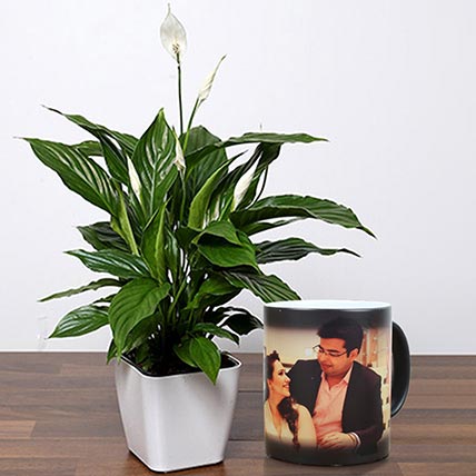Lily Plant With Personalised Magic Mug: Personalised Gifts for Mother