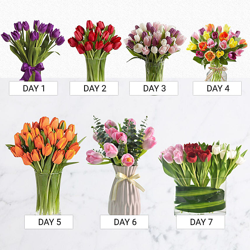 Beautiful Tulips Everyday: Tulips Bouquet