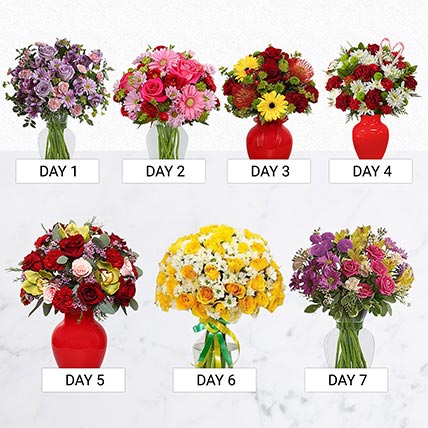 Beautiful Flowers Everyday: Carnations Bouquets