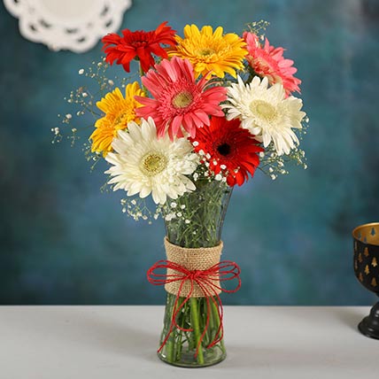 Mixed Brilliance Gerbera Vase: Floral Arrangements