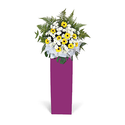 Yellow Gerberas White Pom In Beautiful Pink Stand: Sympathy N Funeral Flower Stands