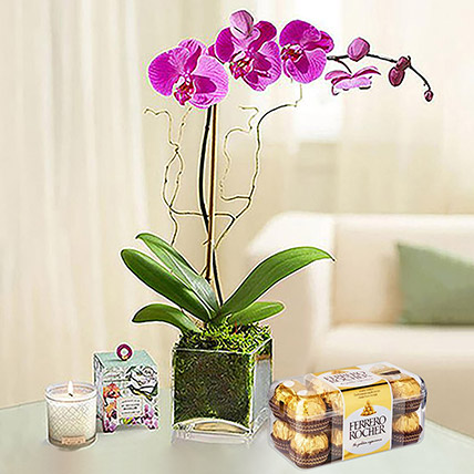 Purple Orchid with Ferrero Rocher: Plants With Chocolates