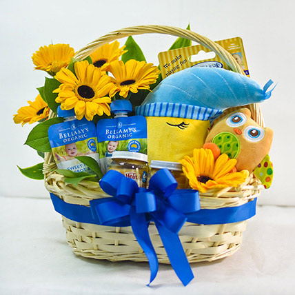 Moon Owl Soft Toy Assorted Puree Baby Hamper: New Born Gifts