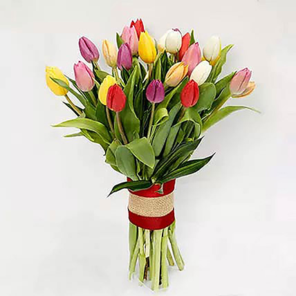 25 Vibrant Tulips Bunch: Birthday Gift Hamper
