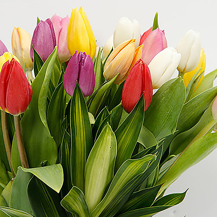 25 Vibrant Tulips Bunch: Tulips 