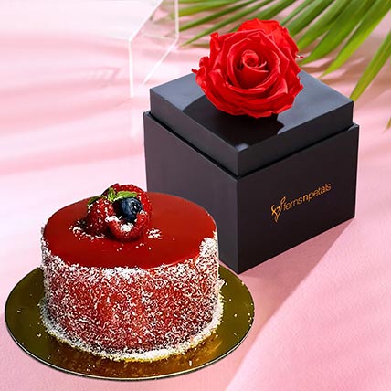 Single Forever Red Rose With Mini Mousse Cake: Women's Day Gifts