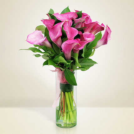 Gracious Pink Calla Lilies Glass Vase: Calla Lilies
