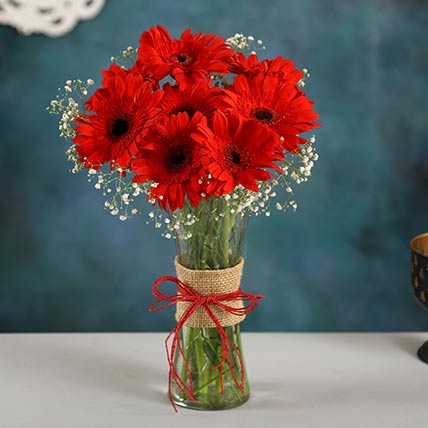 Blooming Gerbera Vase Arrangement: Apology Flowers