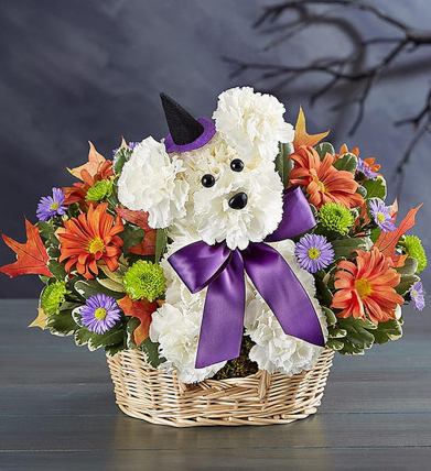 Sweet Puppy Flower Basket For Halloween: Halloween Gifts 