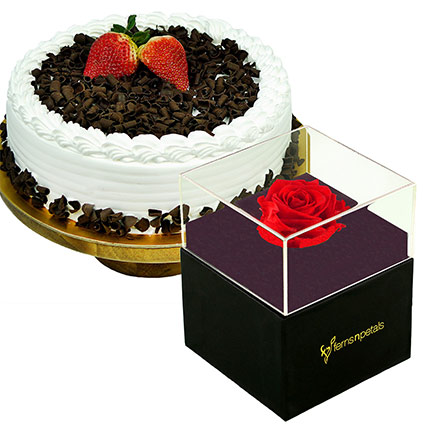 Black Forest Cake & Forever Red Rose With Black Box: Forever Roses