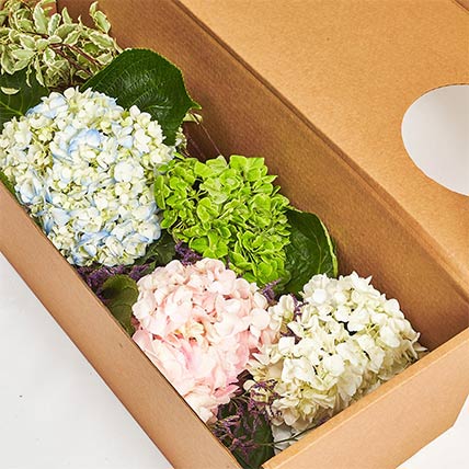 Premium Mixed Flowers Glass Vase: Bloom Boxes