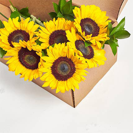 Vibrant Sunflowers Box: Flower in a Box