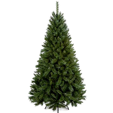 Real Pine Christmas Tree 40 Cms: Xmas Gift Ideas For Friends