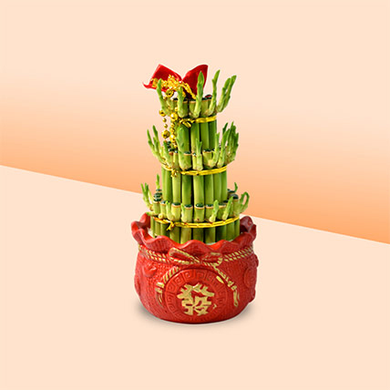 3 Layer Bamboo In Chinese New Year Theme Pot: CNY Plants