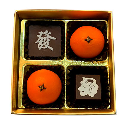 4 Pcs CNY Themed Chocolate: Chinese New Year Gifts
