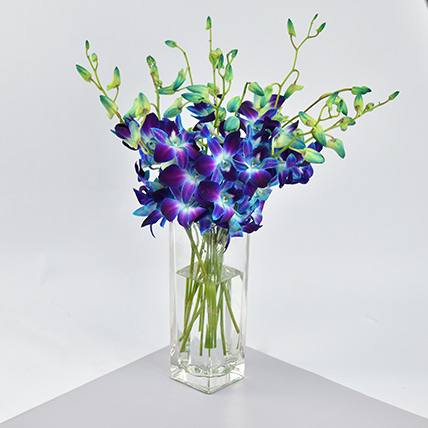 Mesmerizing Blue Orchids: Orchid Bouquet