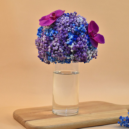 Purple Baby Breath & Phalaenopsis Cylindrical Vase: Baby's Breath