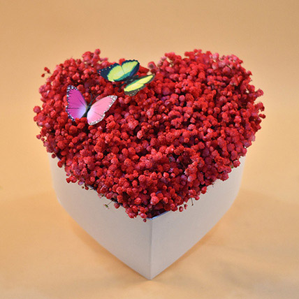 Red Baby Breath Heart Shaped Box: Anniversary Flowers