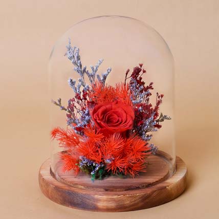 Forever Rose In Glass Dome: 