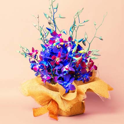 Gorgeous Orchids Arrangement: Blue Flower Bouquet