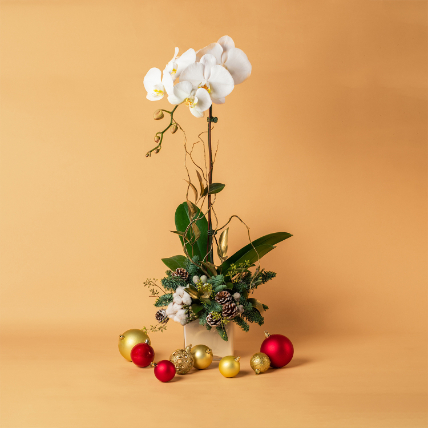 Willow Valley Christmas Arrangement: Christmas Flowers