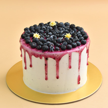 Designer Blueberry  cake: Cakes 