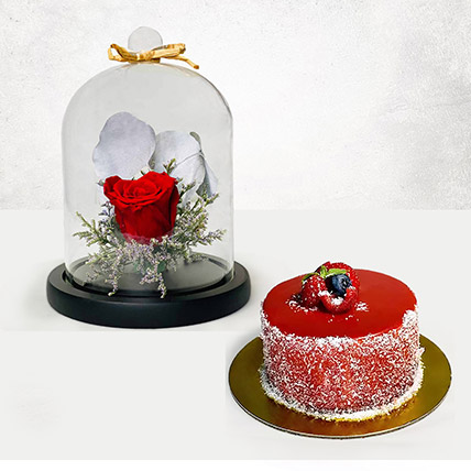 Red Forever Rose With Mini Mousse Cake: Gift Ideas For Boyfriend