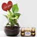 Love You Money Plant & Ferrero Rocher