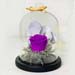 Forever Purple Rose In Glass Dome