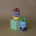 Echeveria & Cactus Quirky Boy Pots