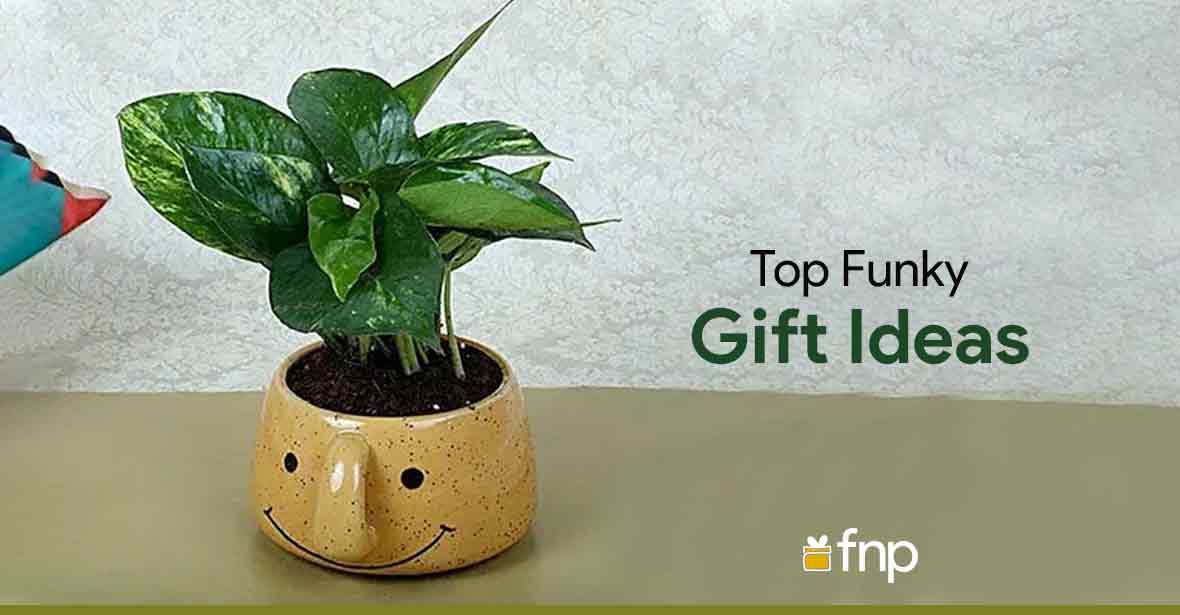 Top Funky Gift Ideas