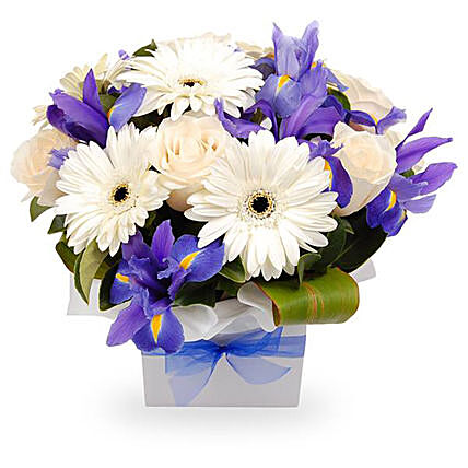 Blue & White Flowers Stunning Box