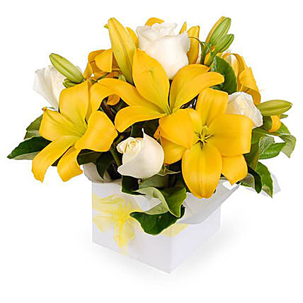 Bright Neutral Coloured Flower Box