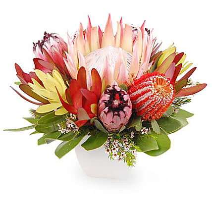 Mixed Australian Wild Flowers In Ceramic Pot